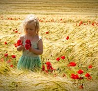 sweet girl with poppies