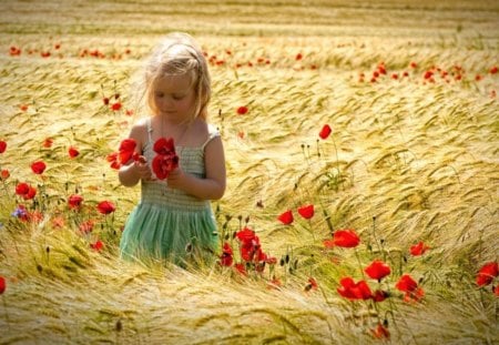 sweet girl with poppies - girl, poppies, people, nature