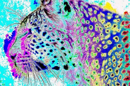 COLOURFUL LEOPARD - colourful, leopard, abstract, art