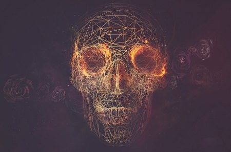 Dark light - skull, games, bones, art, wallpaper, movies, fantasy