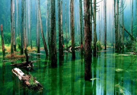 Emerald pool