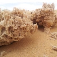 sand flowers