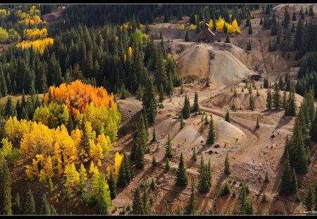 Old Mine, Colorado - yellow, landscape, forest, shadow, leaves, ground, nature, green, colorado, day