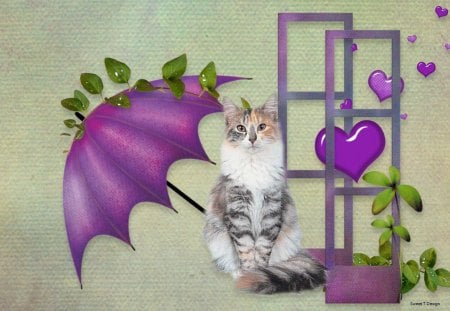 Norweigen Forest Cat Tri-Color - pretty, leaves, cat, white, umbrella, purple, green, gray, cute, hearts