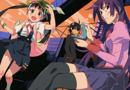 bakemonogatari - girls, skirt, anime, boy, manga, school