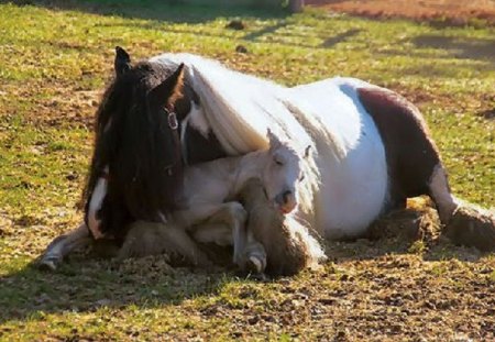 LOVING PAIR - child, cute, loving, mother