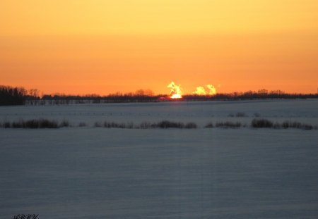 Orange Nature on sunsets - white, photography, snow, orange, Sunsets