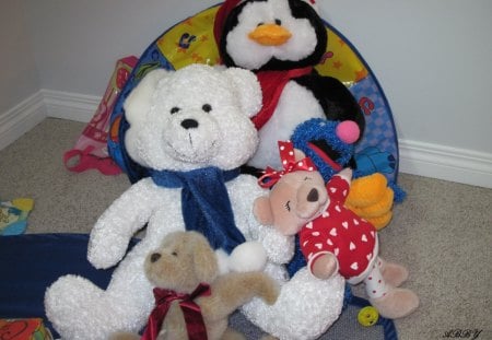 Many toys - bear, black, white, red, photography, dog, penguin