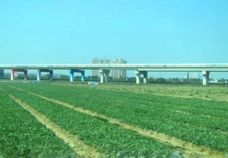 Rural bridge - river, Rural, grass, field, bridge