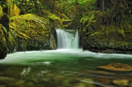 teepee falls - river, waterfalls, forest, falls