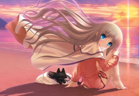 At the Beach - beach, sky, female, hot, sunset, anime girl, wind, windy, cloud, dog, anime, sand, cute, sexy, girl, long hair, animal, breeze, sunrise