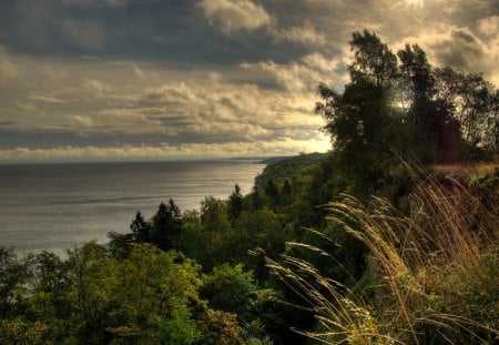 Sea - nature, sky, tree, sea