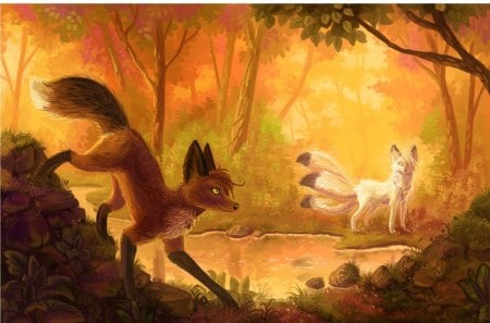 Fox meeting - anime, fox, nature, woods