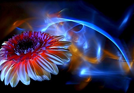 FLOWER GLOW - photoshop, glow, colors, flower