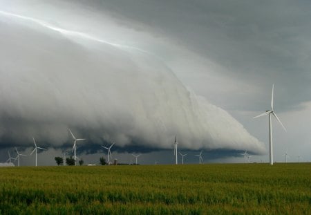 a Shelf Cloud - cloud, scarry, shelf, grass