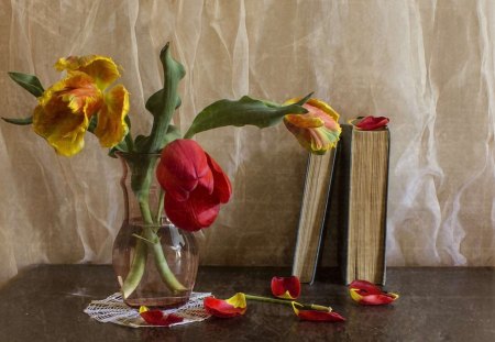 Still life - white, red, flower, flowers, photo, tulip, still life