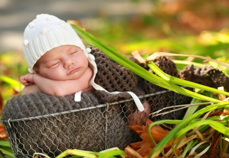 cute baby - cute, people, nature, baby