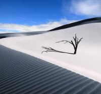 The White Sand Dunes