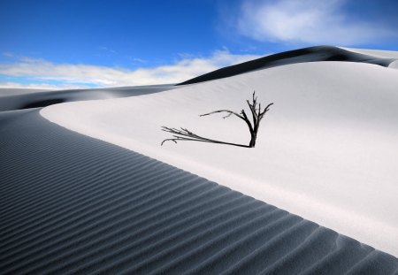 The White Sand Dunes - nature, sky, sand dunes, clouds, branch, desert