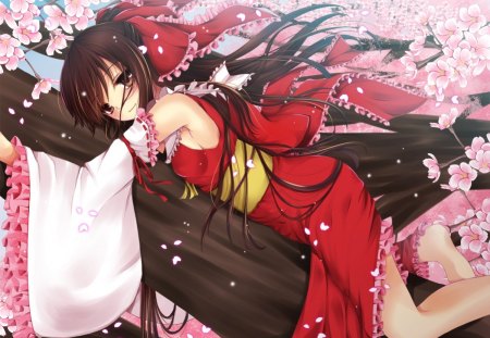 Hakurei Reimu - flower, cute, blossom, hakurei reimu, hot, lying, anime girl, girl, ribbon, cherry blossom, floral, tree, touhou, sakura, brown hair, anime, resting, dress, sakura blossom, long hair, petals, reimu, brown eyes, sexy, female