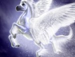 Purple,Magical,Unicorn,Horse