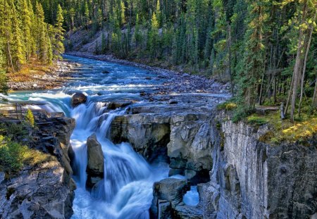 waterfalls - river, waterfalls, forest, tree