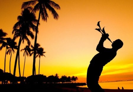 Trumpet lights - trumpet, romantic, beaches, evening, silhouette