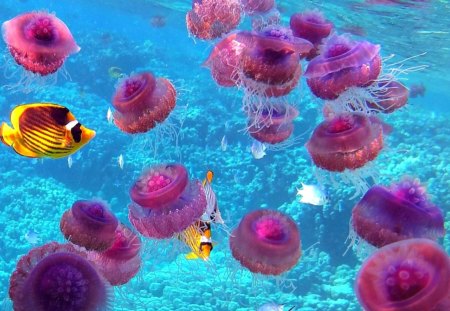 Underwater - water, yellow, blue, beauty, ocean, pink, black, jellyfish, animal, underwater, fish