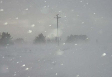 Blizzard Weather - winter, mi, bad, cold