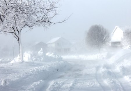 Blizzard  Des Moines Iowa - moines, blizzard, iowa, des, snow, cold