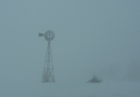 Montgomery County in  Blizzard Conditions - montgomery, storm, blizzard, conditions, snow