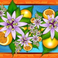 áƒ¦.Maracuja n Passiflora.áƒ¦