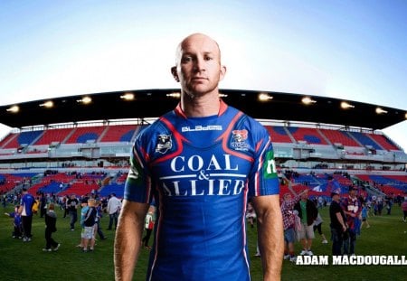 Adam,Macdougall,Newcastle,Knights - adam, knights, macdougall, newcastle