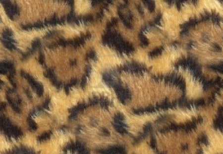 animal print - animal, wallpaper, textures, print