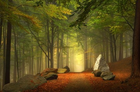 Forest trial - trees, landscape, mystical, autumn leaves, path