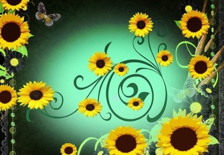 Sunflowers - Flowers in the Sun, In the Summer, Sunny Flowers, Summertime