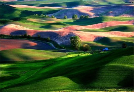 Colorful hills - rolling, hills, colors, grass