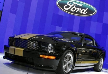 Ford Mustang Shelby gt3 - gt3, ford, mustang, car