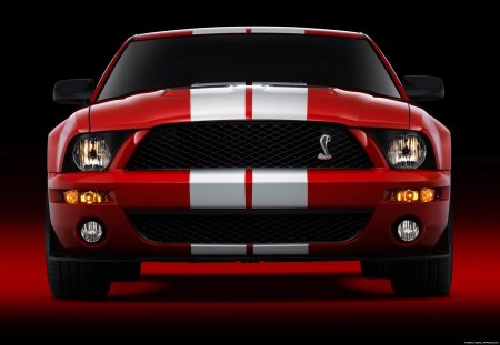 Ford Shelby GT500 - cobra, shelby, ford, gt500