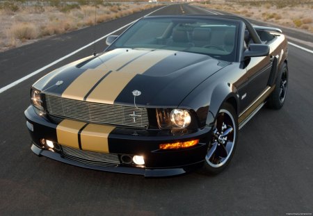 Ford Shelby GT500 - shelby, ford, car, road