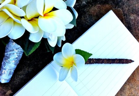 Plumeria - white, flower, wedding, plumeria, flowers