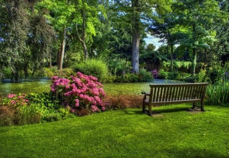 Lazy afternoon - summer, beautiful, relax, rest, grass, afternoon, bushes, nature, park, greenery, pretty, flowers, spring, garden, bench, lazy, freshness, nice, lovely, trees, day, green