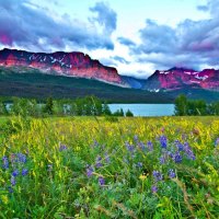Glacier national park in summer