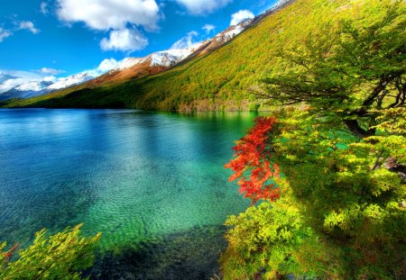 Crystal lake - quiet, summer, blue, bushes, crystal, mountain, calmness, flowers, shore, waters, lake, emerald, sky, greenery, branches, trees, mirrored, colorful, river, nature, tranquility, clear, serenity