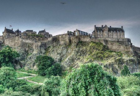 fabulous castle on a hill hdr - hill, trees, fortress, hdr, road, castle