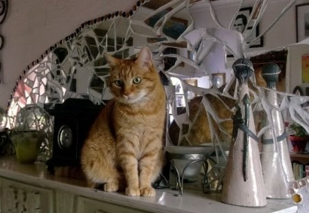 Visitor - sideboard, cat, kitty, mirror, decoration