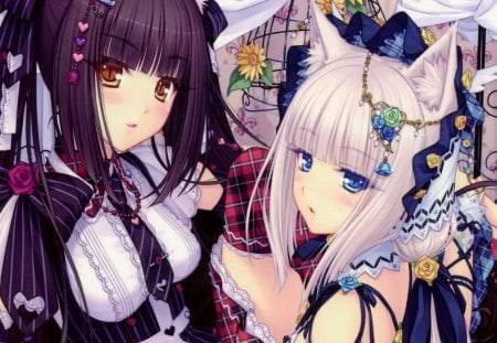 Chocola & Vanilla - girls, vanilla, female, chocola, anime