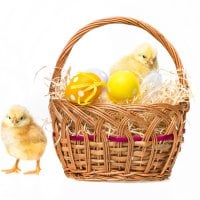 Easter basket