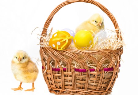 Easter basket - eggs, celebration, holidays, chickens, easter, basket