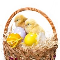 Easter basket